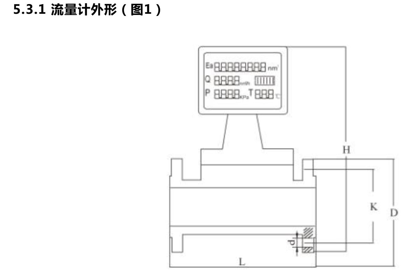 氣體渦輪流量計(jì)外形